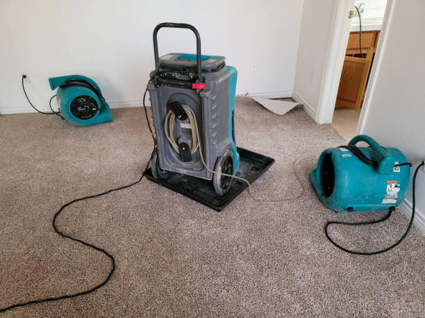 Best Ceiling water damage repair  in Sioux Center, IA