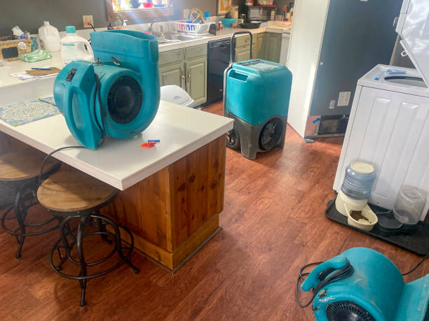 Best Water damage restoration near me  in Sioux Center, IA
