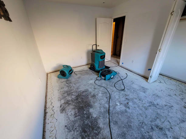 Best Flood restoration services  in Sioux Center, IA