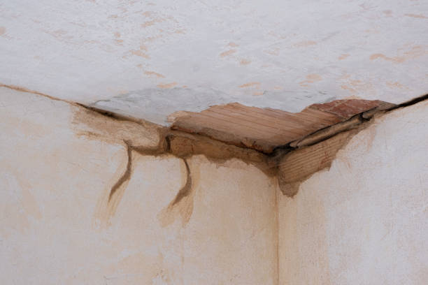 Best 24/7 water damage repair  in Sioux Center, IA