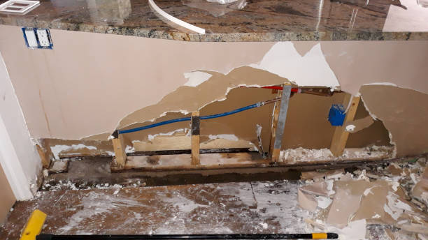 Best Residential water damage restoration  in Sioux Center, IA