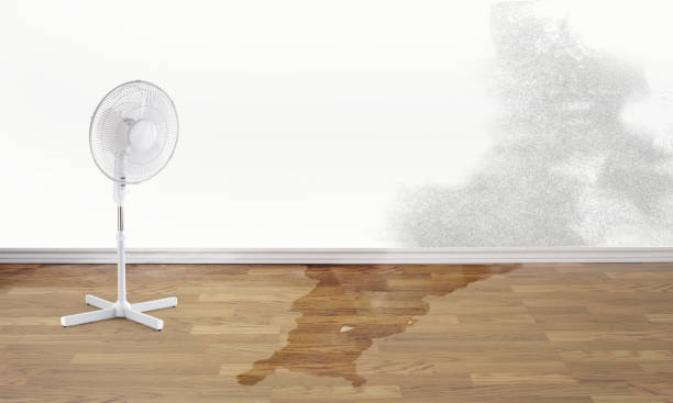 Best Residential water damage restoration  in Sioux Center, IA
