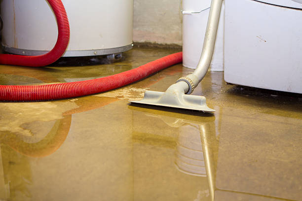 Best Water damage restoration services  in Sioux Center, IA