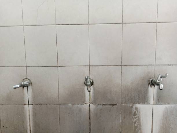 Best Water damage cleanup near me  in Sioux Center, IA