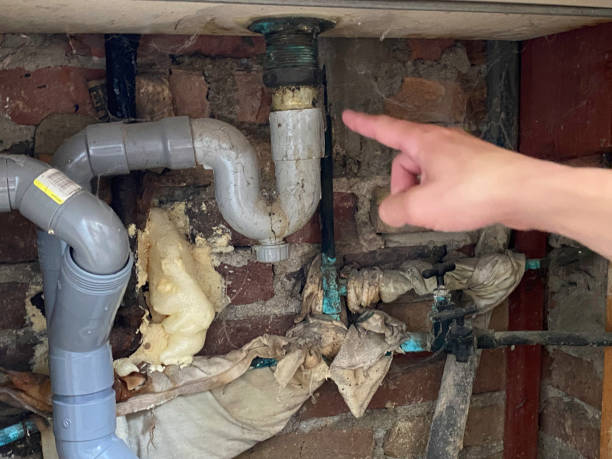 Best Water damage repair service  in Sioux Center, IA
